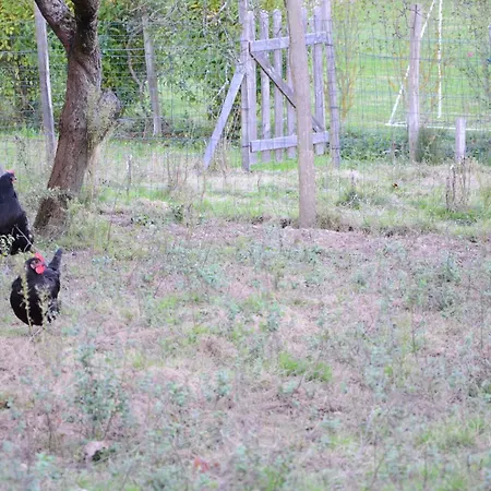 بيت للعطل Ecogite Rural La Cle Des Champs Peyrelongue-Abos