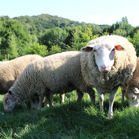 Ecogite Rural La Cle Des Champs *