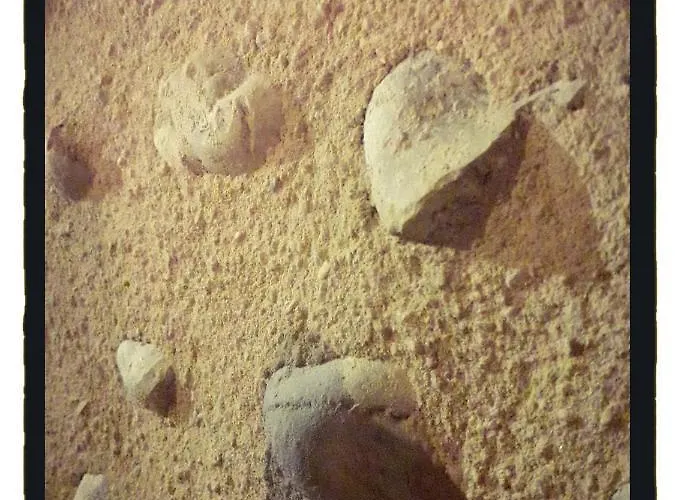 Ecogite Rural La Cle Des Champs